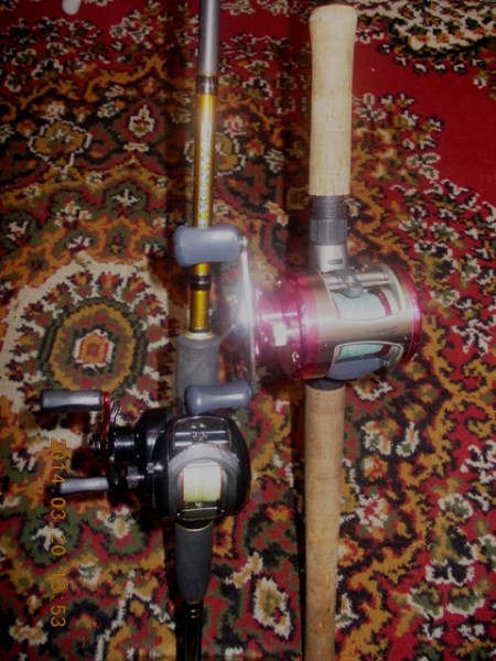 DSCN1659.JPG