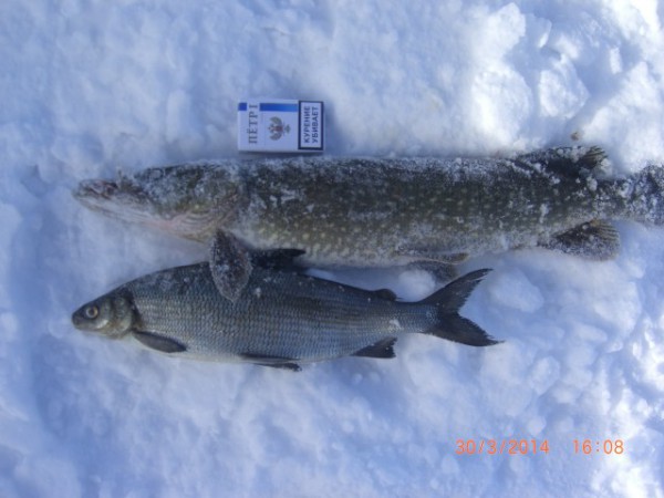 CIMG8975.JPG (104.03 КБ) Просмотров: 3724 CIMG8975.JPG