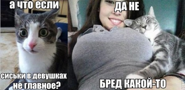5Pbn4O2lqkY.jpg