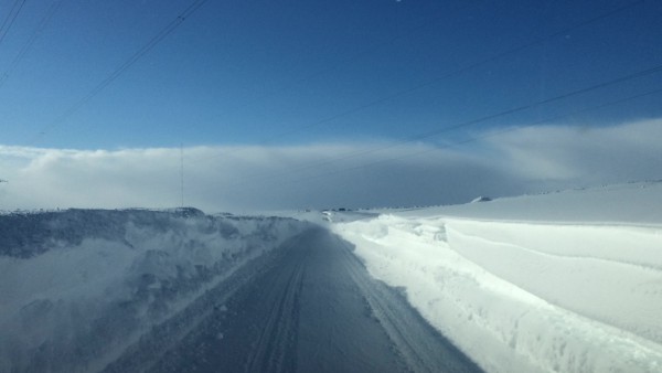 IMG_2275.JPG (436.92 КБ) Просмотров: 4147 IMG_2275.JPG