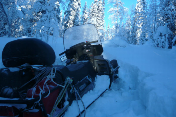 поезда на финку (3).jpg