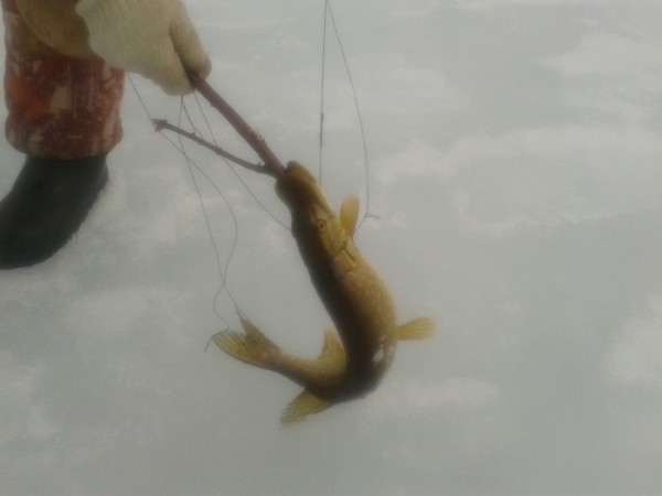 2014-04-14 17.24.22.jpg