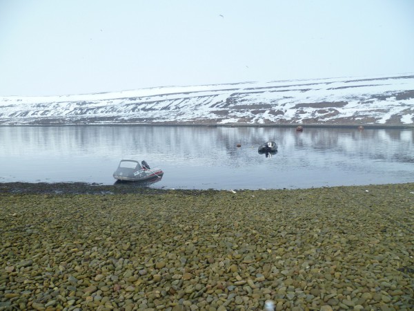 P1020620.JPG
