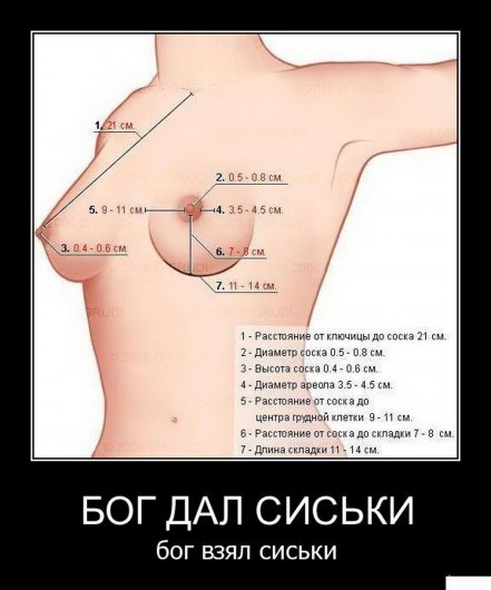Stimka.ru_1293371819_29_siski_960500-2010.09.06-06.42.47-bomz.org-demotivator_bog_dal_siski_bog_vzyal_siski.jpg