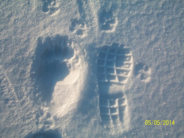 100_2763.JPG