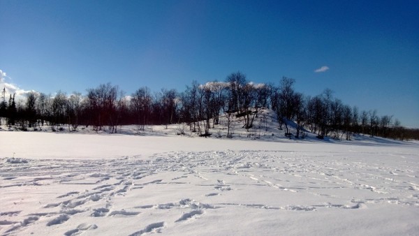 WP_20140503_008.jpg