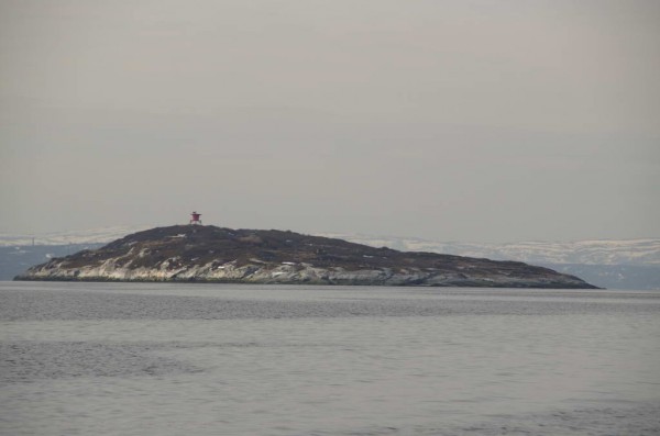 DSC_0018.jpg