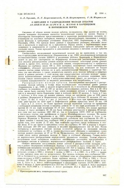 Молодь зубатки 02.jpg