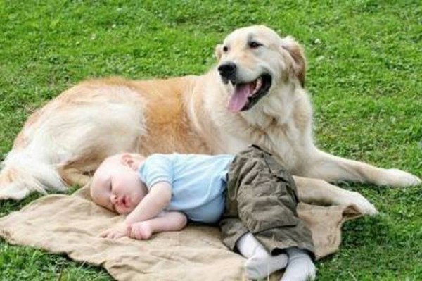 Собака и...jpg