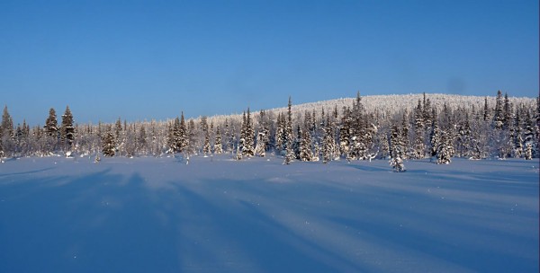 P1090370.JPG