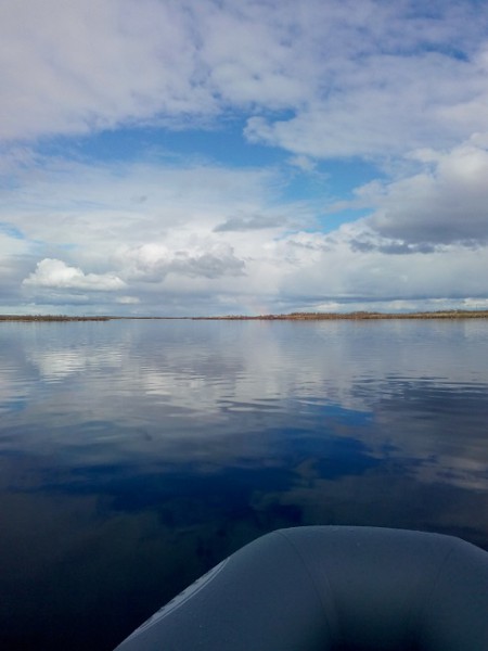 IMG_20140621_173856.jpg (104.51 КБ) Просмотров: 4154 IMG_20140621_173856.jpg