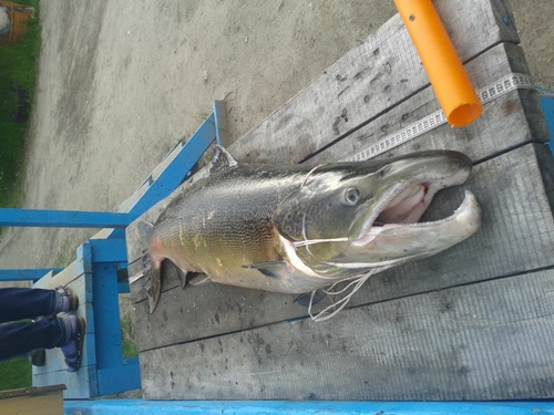 2014-07-23 19.01.15.jpg