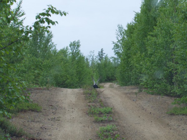DSC_0123.jpg