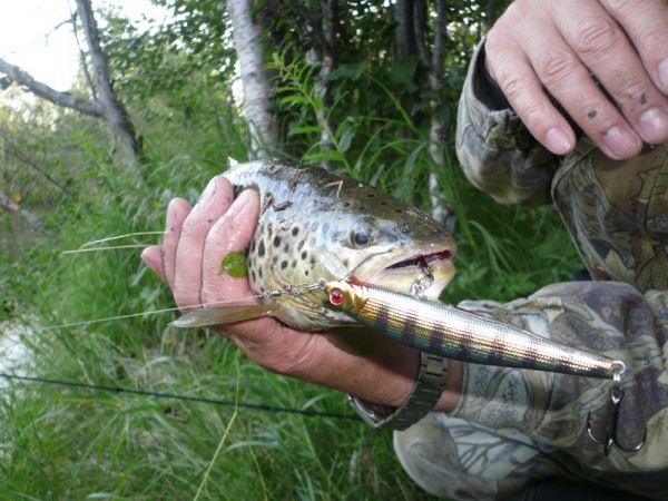 P1130389-ф.jpg