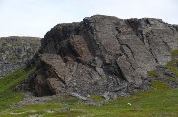 DSC_0398.JPG