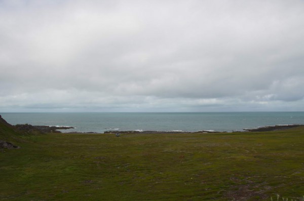 DSC_0413.JPG