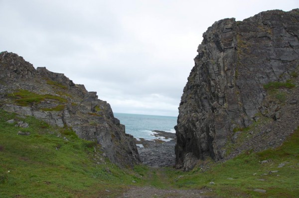 DSC_0484.JPG