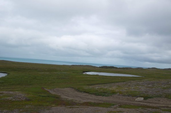 DSC_0493.JPG