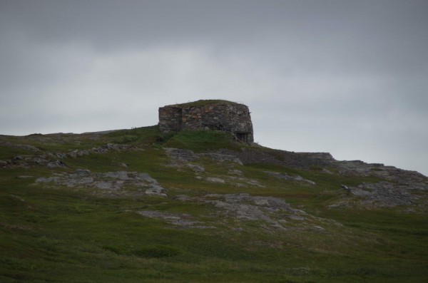 DSC_0497.JPG