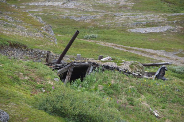 DSC_0502.JPG