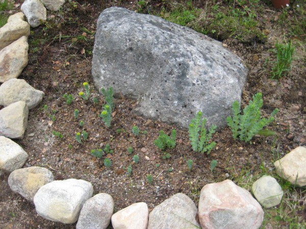 14-06-22 дача (7).JPG