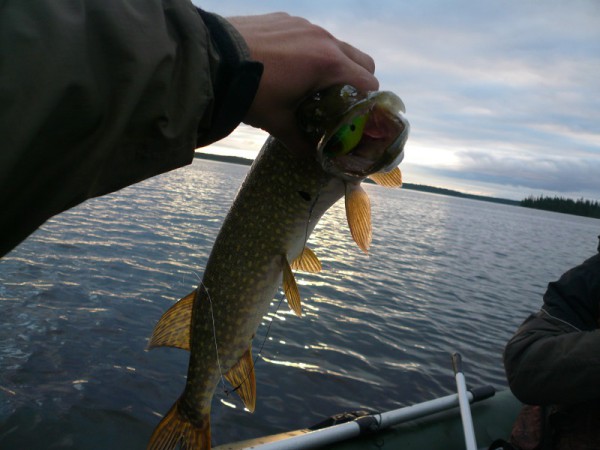 P1130501-ф.jpg