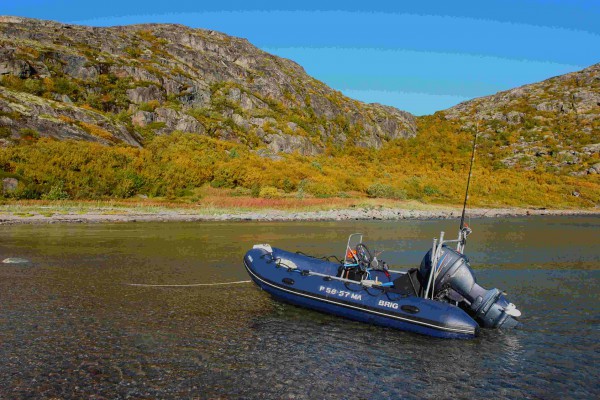 DSC07668.JPG (201.41 КБ) Просмотров: 3425 DSC07668.JPG