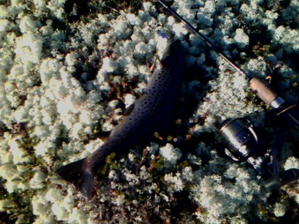 IMG0156A.jpg