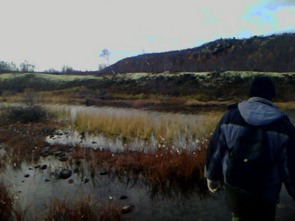 IMG0158A.jpg