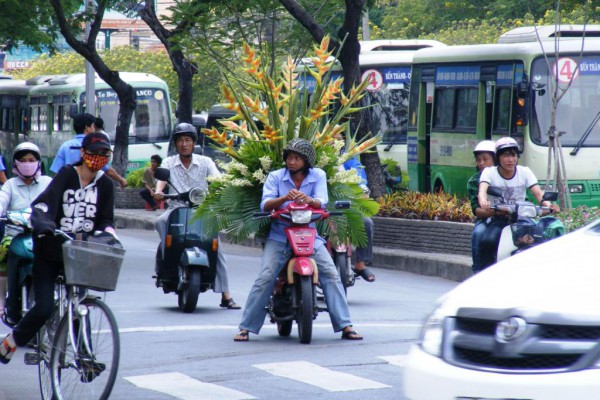 163.JPG (138.79 КБ) Просмотров: 4622 163.JPG