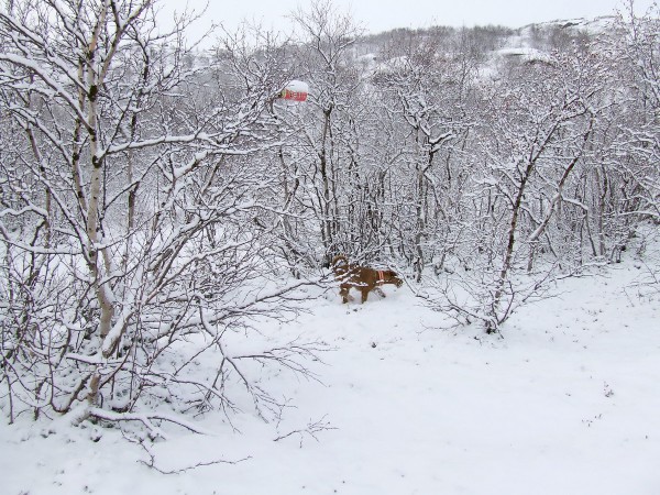 DSCF7202мини80.jpg