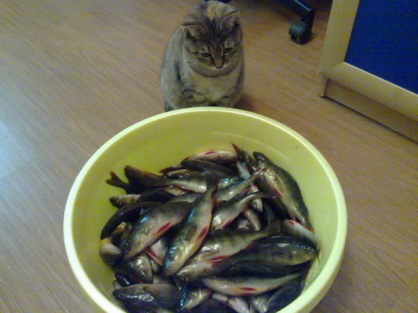 23102014410_2_новый размер.jpg