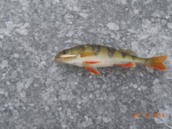 DSCN6947.JPG