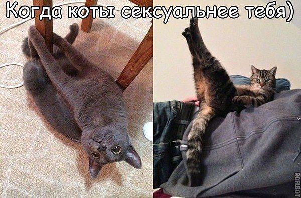 getImage (1)2.jpg