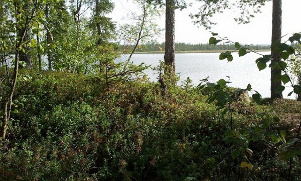 20140830_151539.jpg