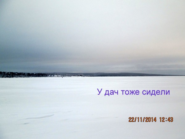 ЯБ ноябрь 2014 (3).JPG