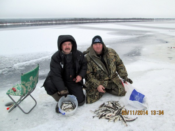 Воронька (8).JPG