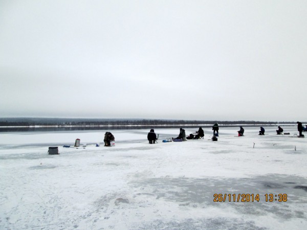 Воронька (9).JPG