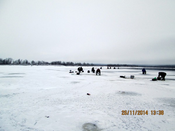 Воронька (10).JPG