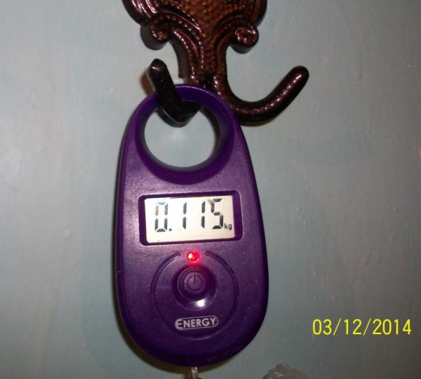 100_3435.JPG