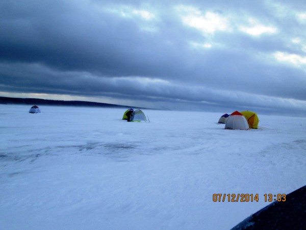 ЯБ-метель (3).JPG