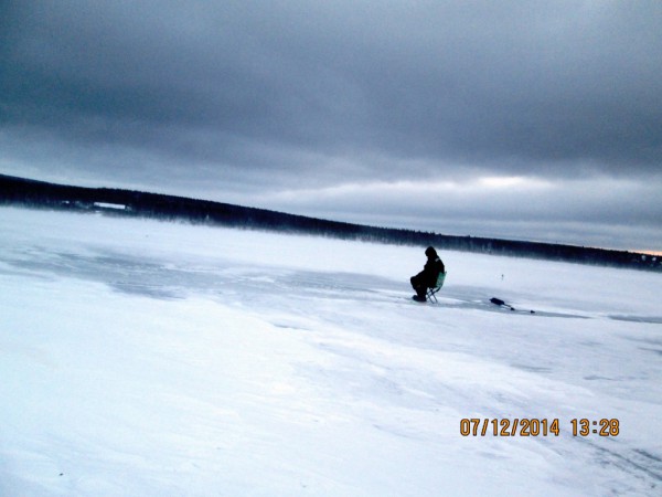 ЯБ-метель (6).JPG