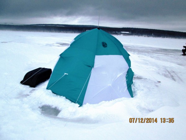 ЯБ-метель (7).JPG