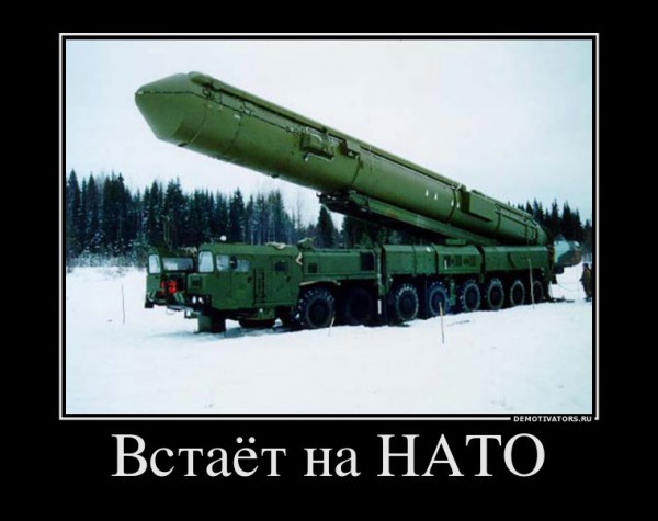 тополь.jpg