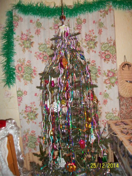 100_3497.JPG