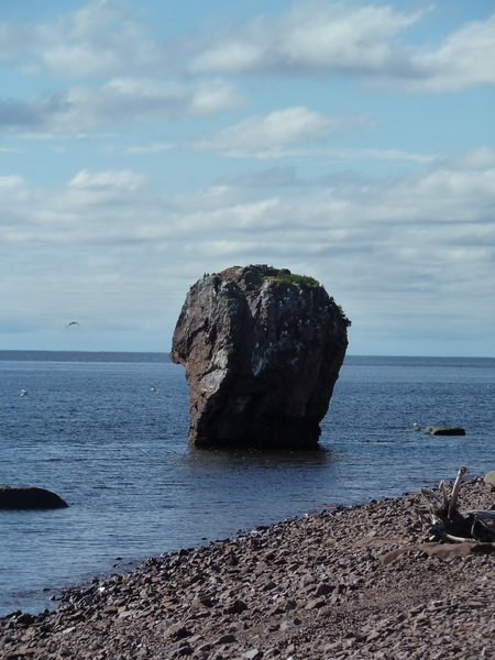 P1070934.JPG