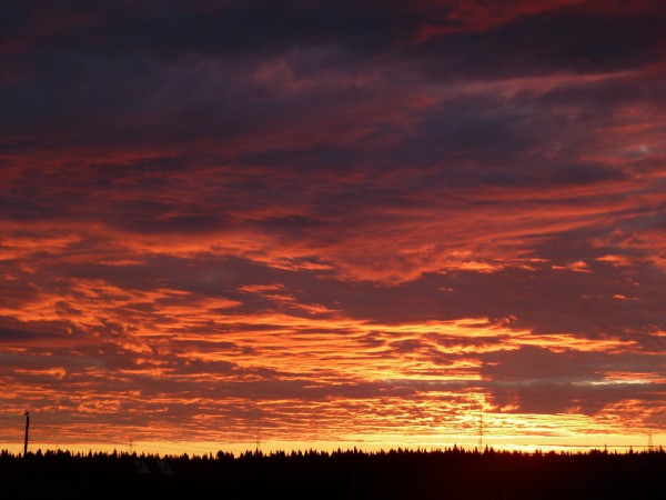 P1080002.JPG