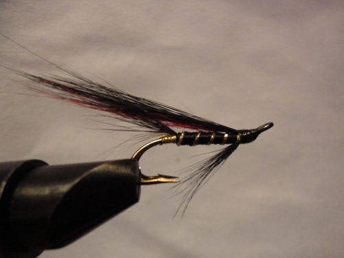 DSC01880_500x375.jpg
