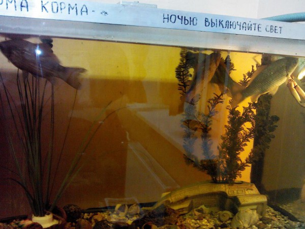 IMG00257.jpg