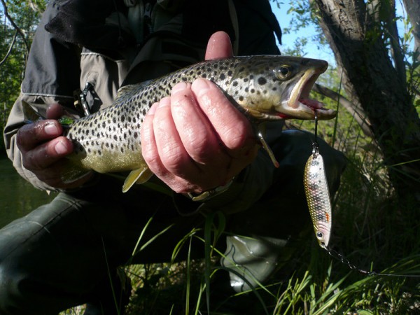 P1130229-ф.jpg